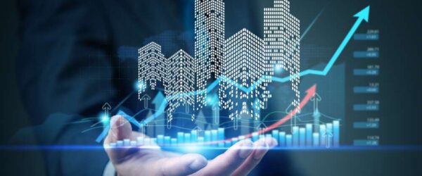 Combined wholistic data view